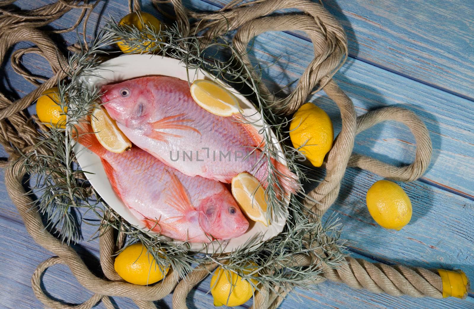 raw fresh fish Pink tilapia on a plate in rope loops, against a background of blue boards, surrounded by yellow lemons. Food photography, top view, colorful food, delicious dinner,. High quality photo