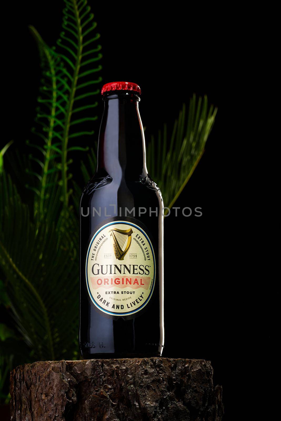 Tallinn, Estonia - March 2022: Bottle of Guinness. Guinness beer has produced since 1759 in Ireland by PhotoTime