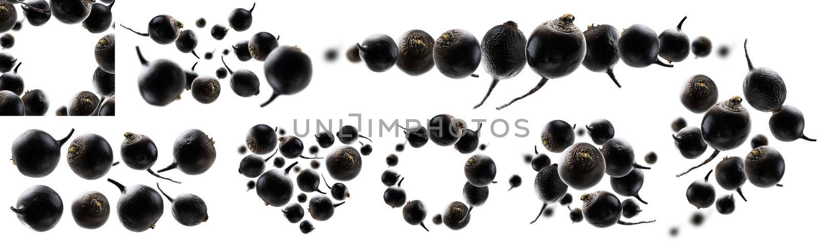 A set of photos. Black turnips levitate on a white background.
