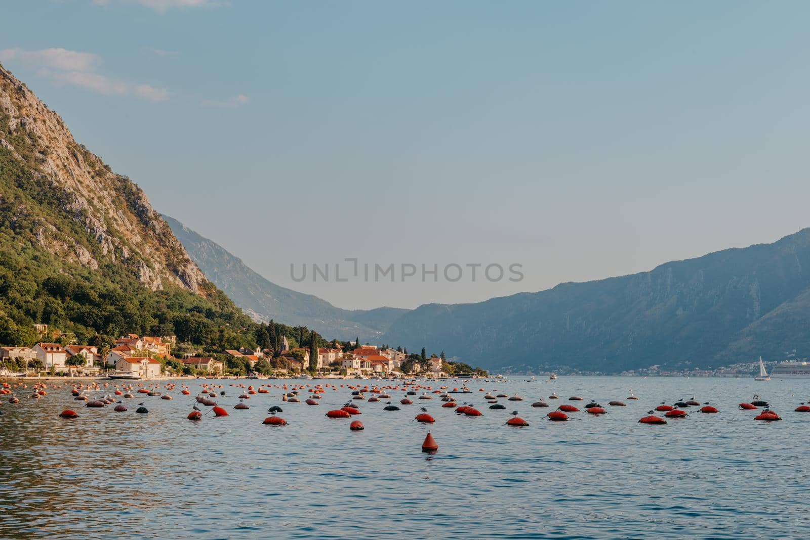Oyster farm in the Bay of Kotor, Montenegro. High quality photo. by Andrii_Ko