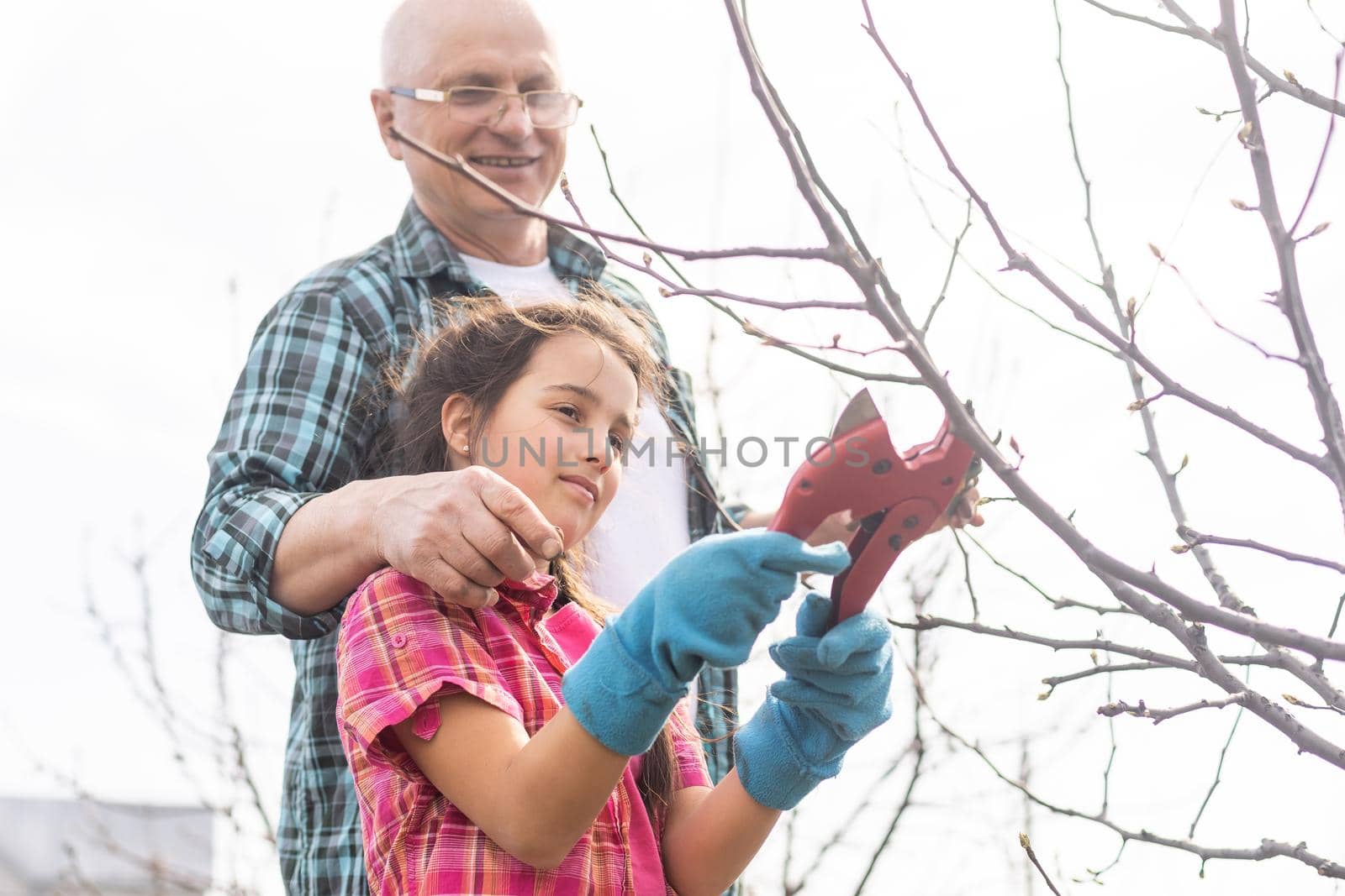 Small girl with senior grandfather in the backyard garden, gardening by Andelov13