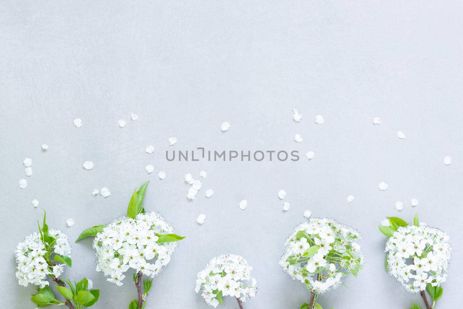 gray background with white petals randomly distributed with corsages of white flowers and green leaves at the bottom of the image in soft natural light