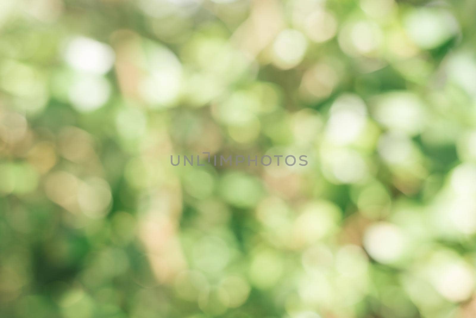 Blurred park with bokeh light. nature blur background. Spring meadow with big tree with fresh green leaves. Vintage effect style pictures. by jatmikaV