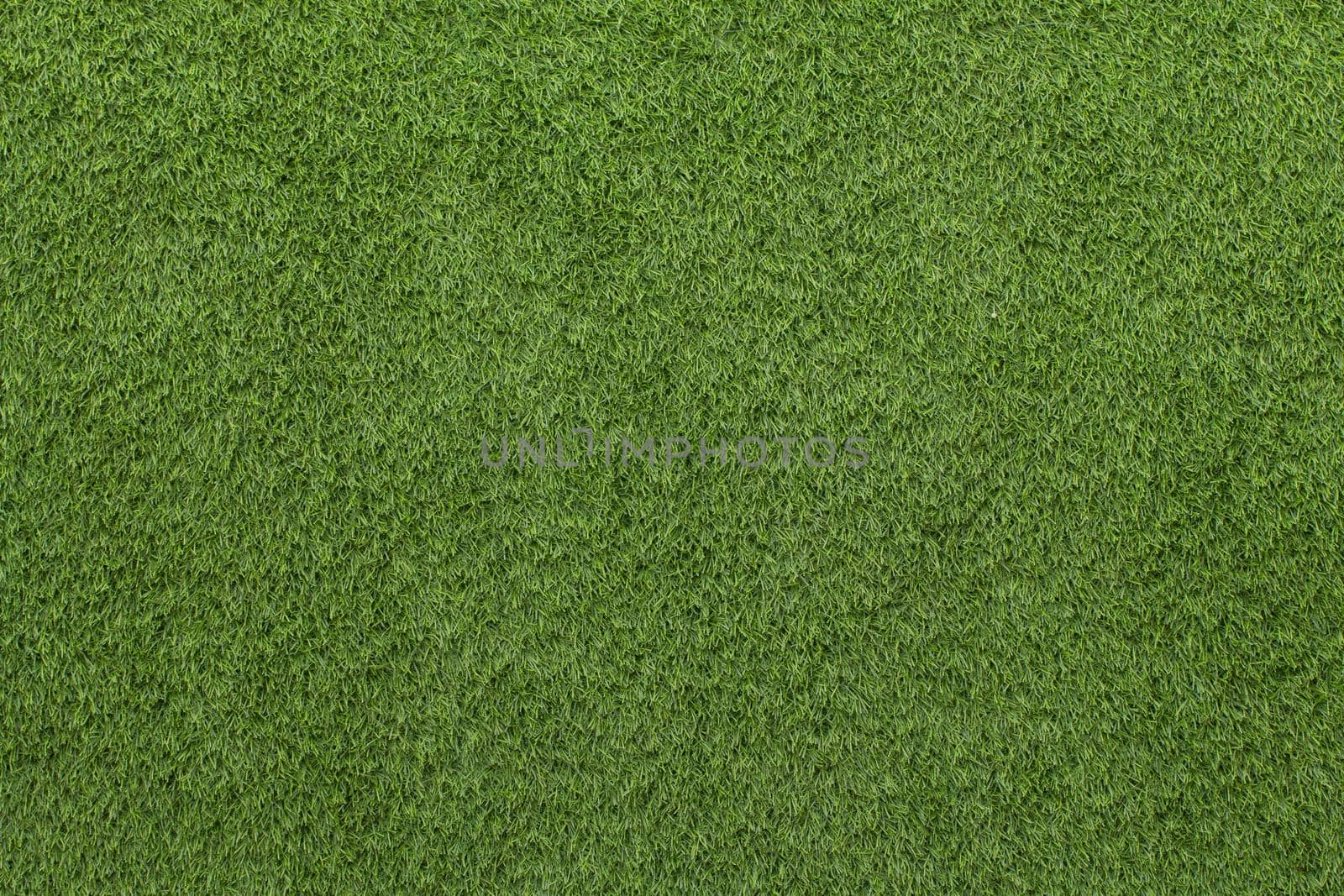 Artificial Grass Field Texture.