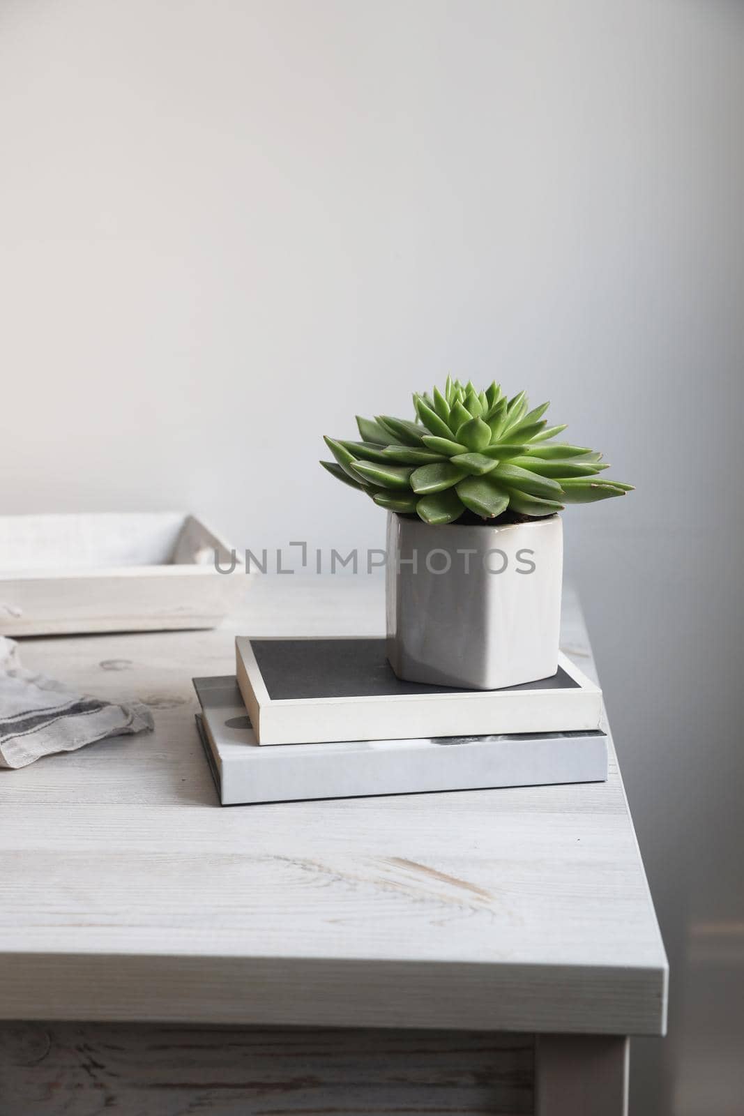 Stack of books with echeveria succulent plant in a gray ceramic pot on a beige table against a white wall. Scandinavian style. minimalism. Place for text by elenarostunova