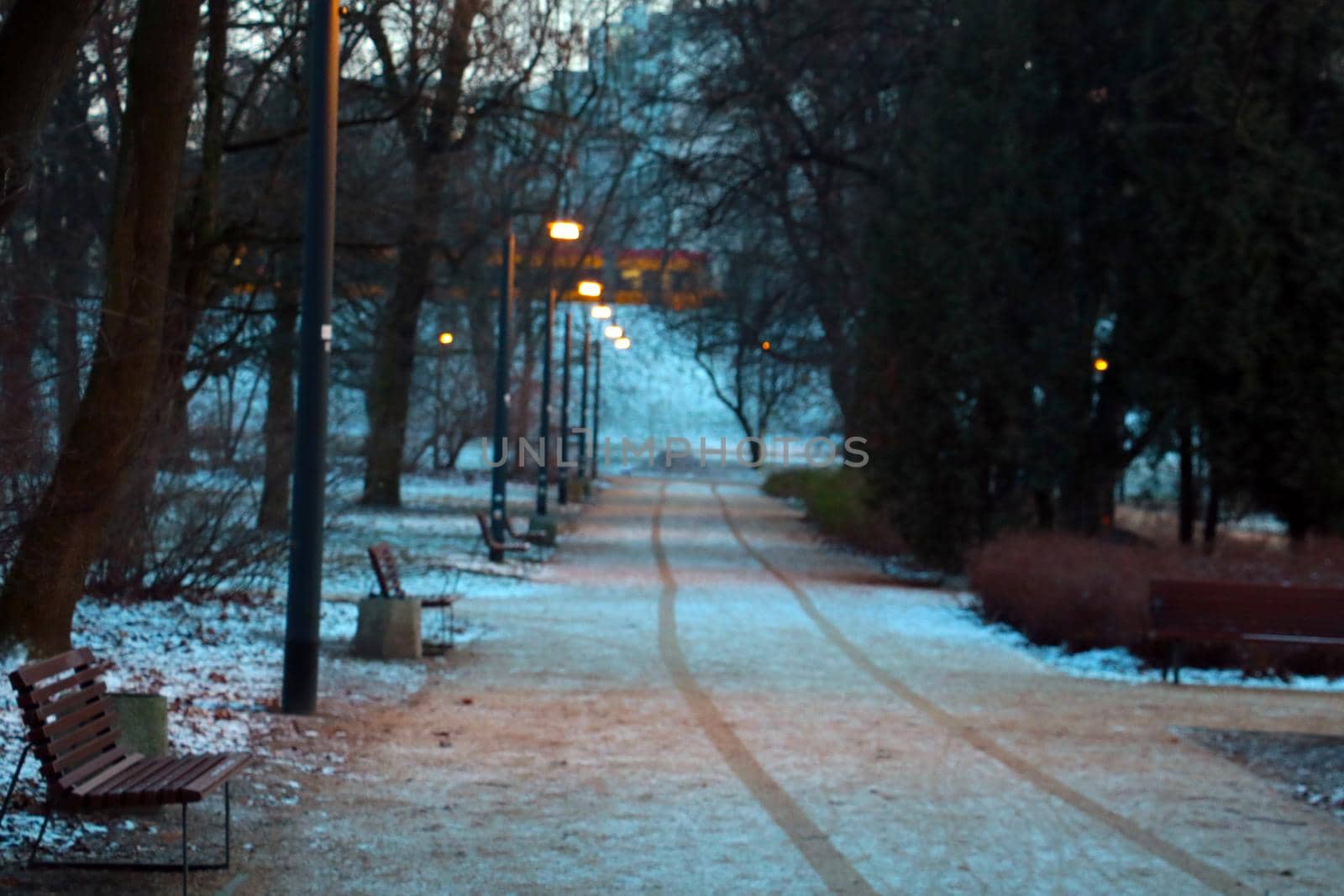 Out of focus, footprints from the transprot in the park in the winter