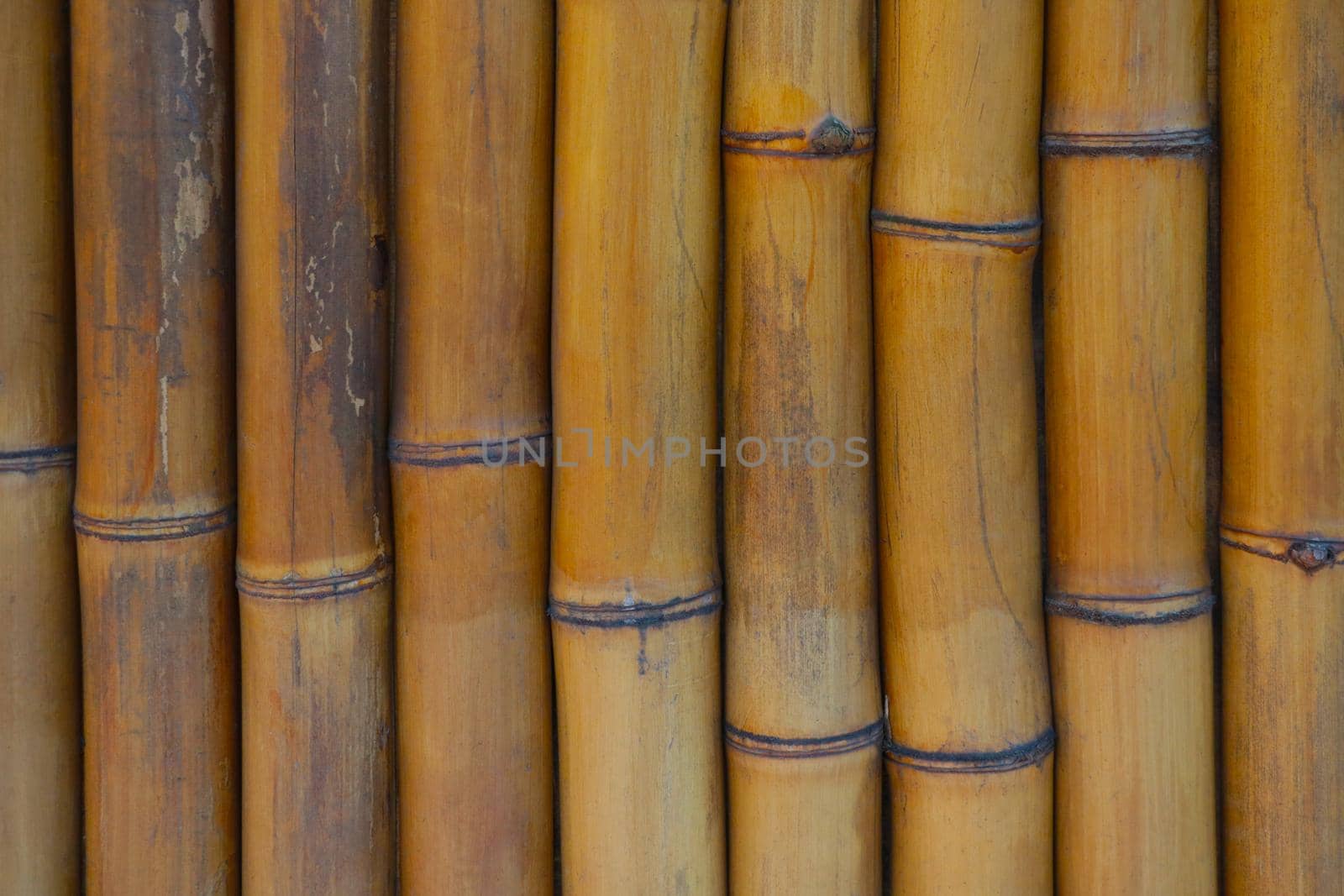 Yellow bamboo background. Close up wood texture