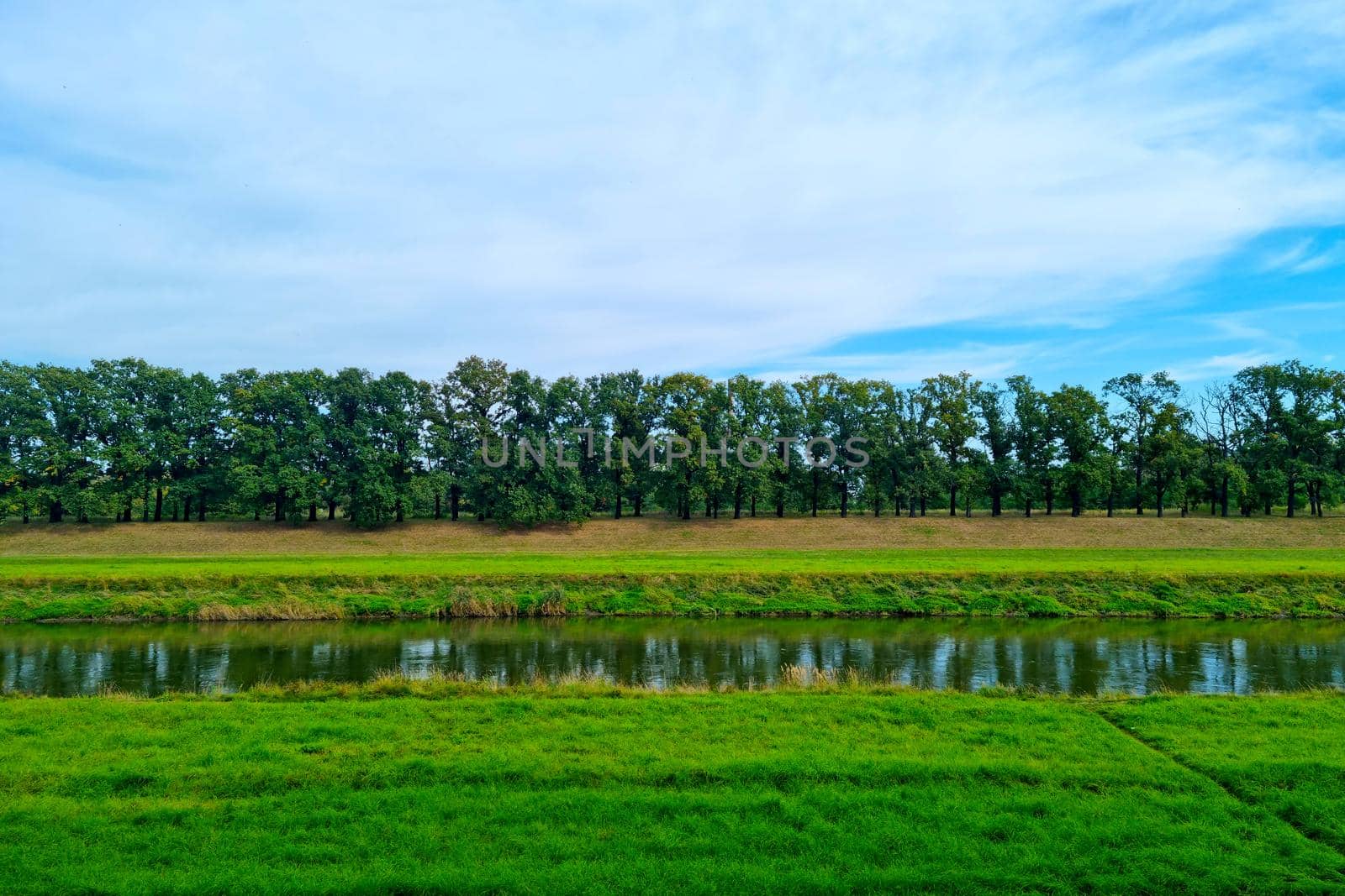 View of the river with green trees on a sunny day. The background of nature