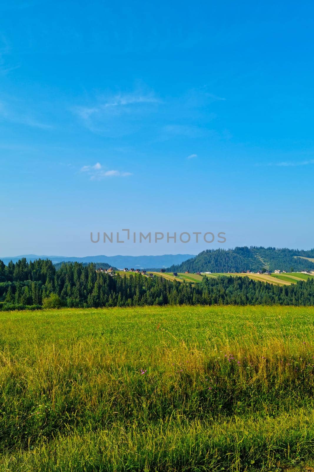 A picturesque view of a green field in a mountainous area in summer