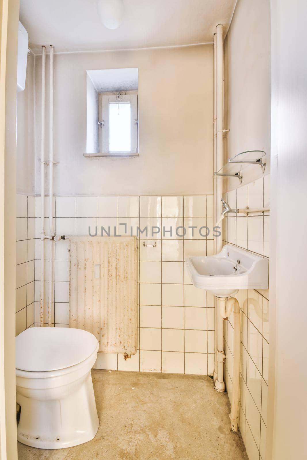 The interior of a spacious bathroom in a cozy apartment with a sink and toilet