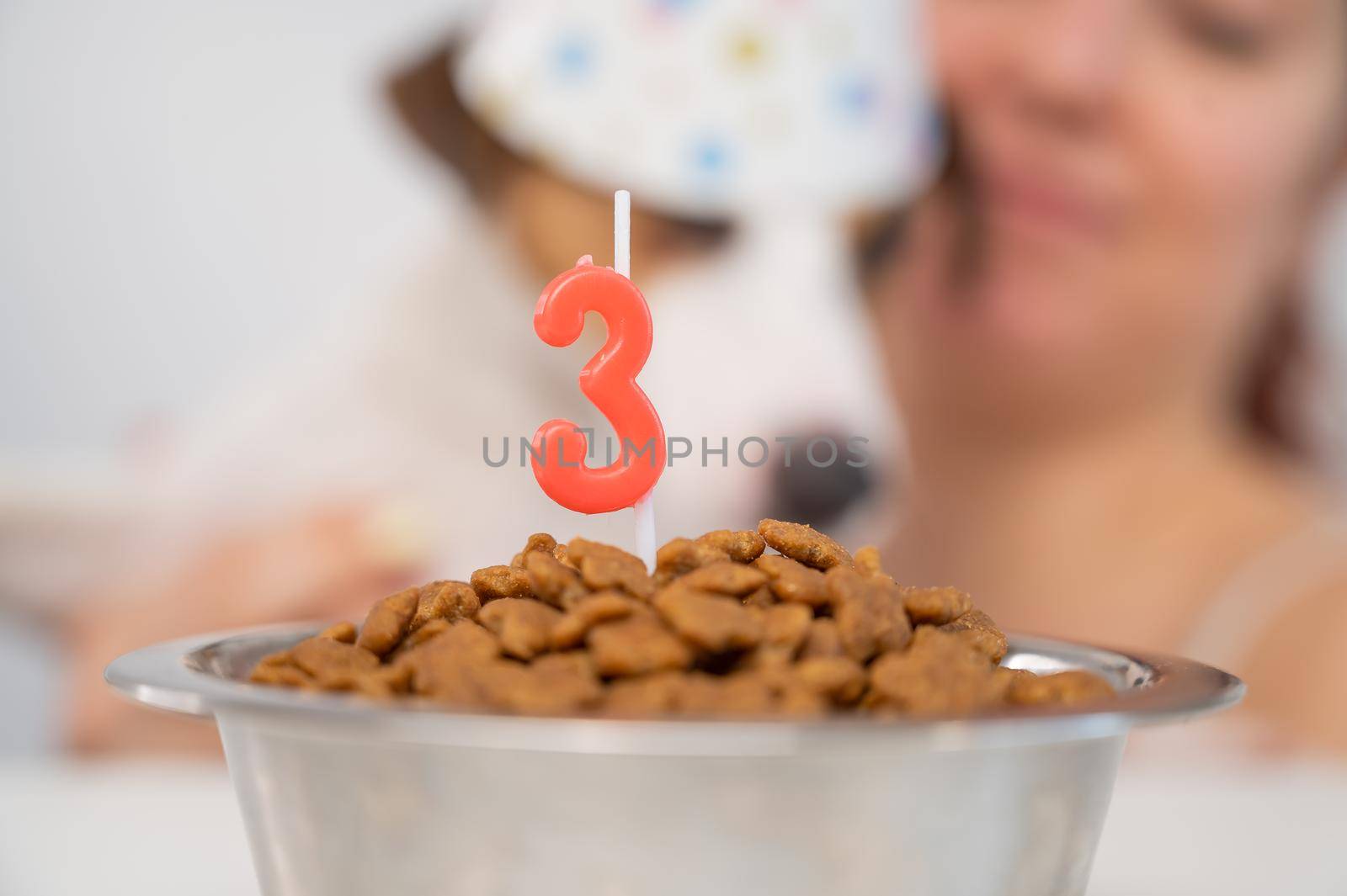 Caucasian woman congratulates her dog on the 3rd birthday. Jack Russell Terrier blows out the candle by mrwed54