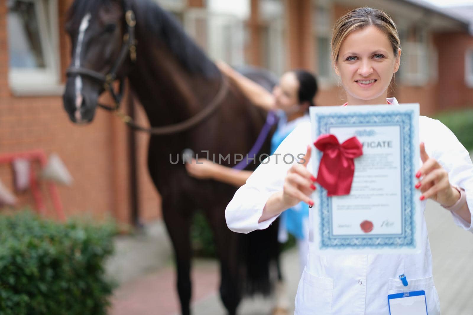 Woman veterinarian is holding medical certificate in background horse by kuprevich