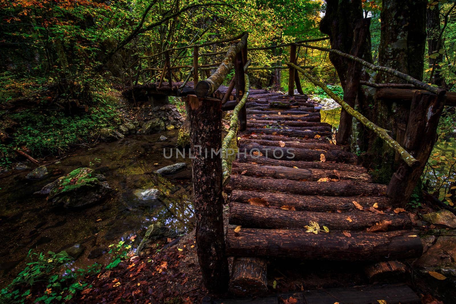 Beautiful wooden handmade bridge in the mystical forest
