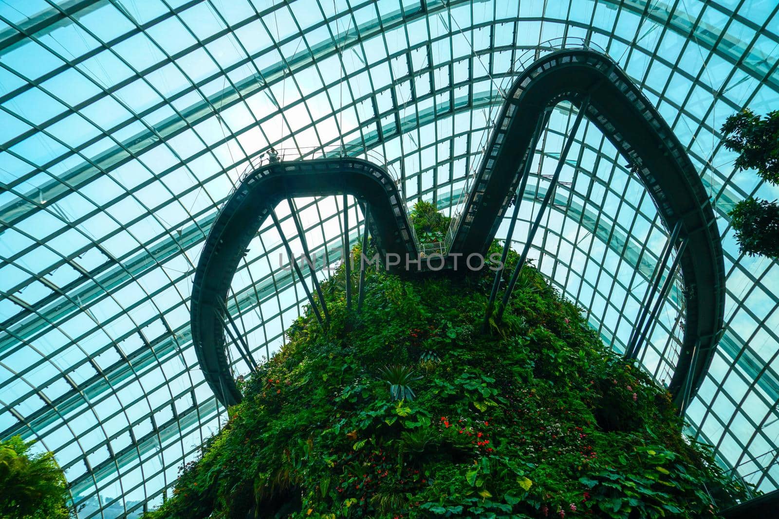 Singapore Cloud Forest. Shooting Location: Singapore