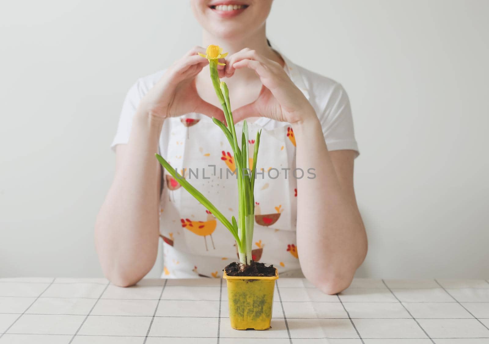 lovely housewife woman with flower in pot. Gardening, holidays, Spring and Easter concept