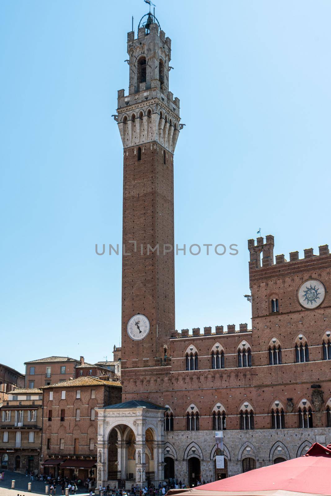 Siena square of Campo and Torre del Eat public palace by carfedeph