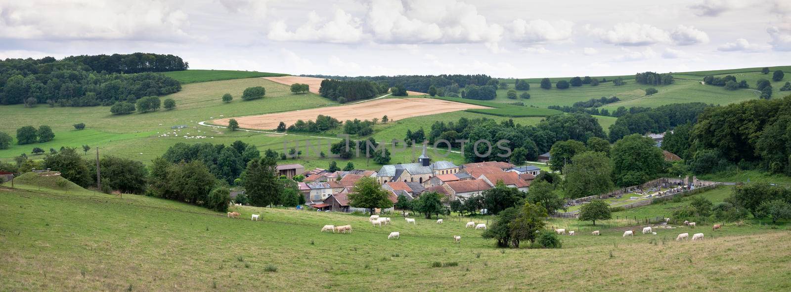 summer countryside landscape with green meadows and village in french ardennes near charleville by ahavelaar