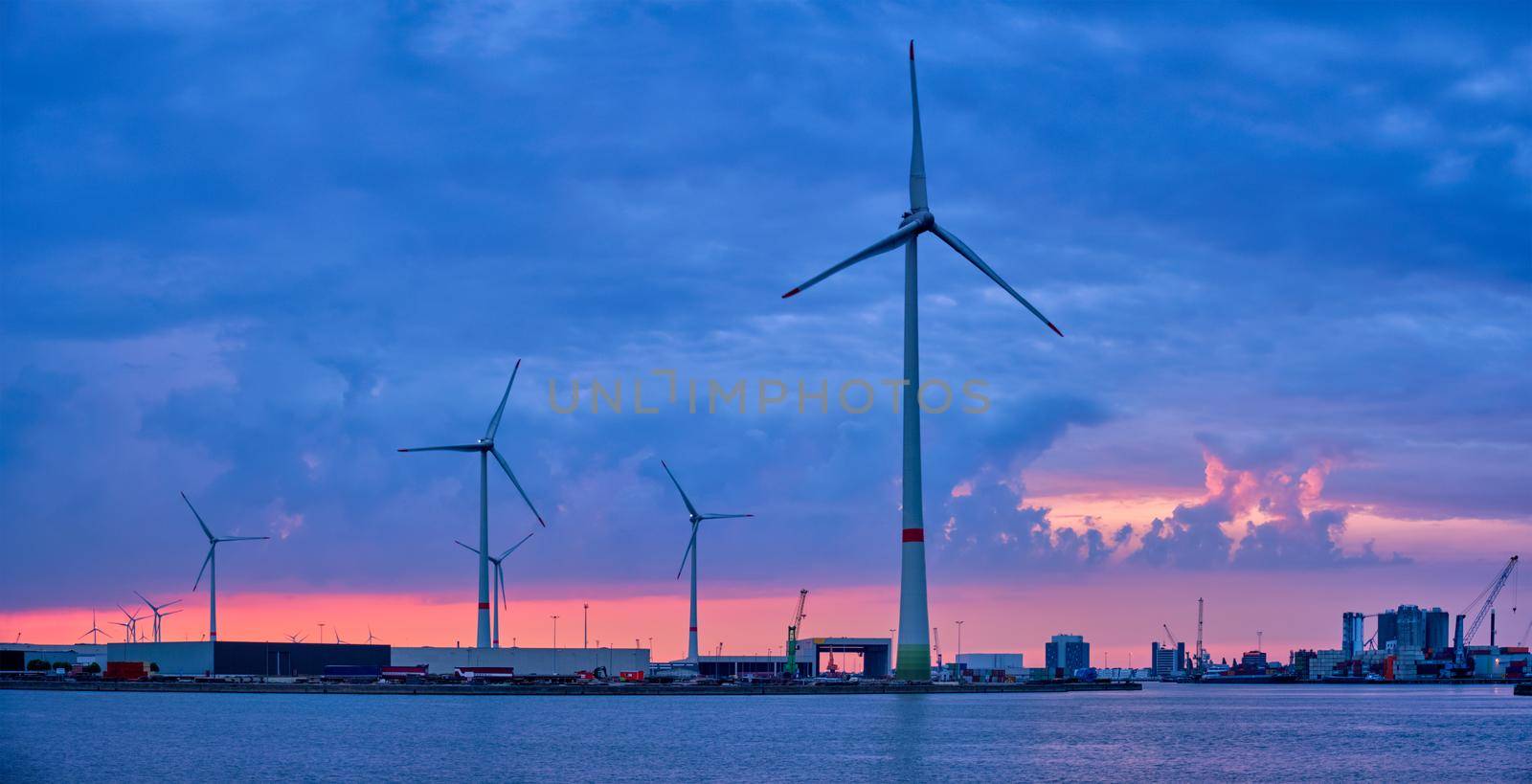 Wind turbines in Antwerp port in the evening by dimol