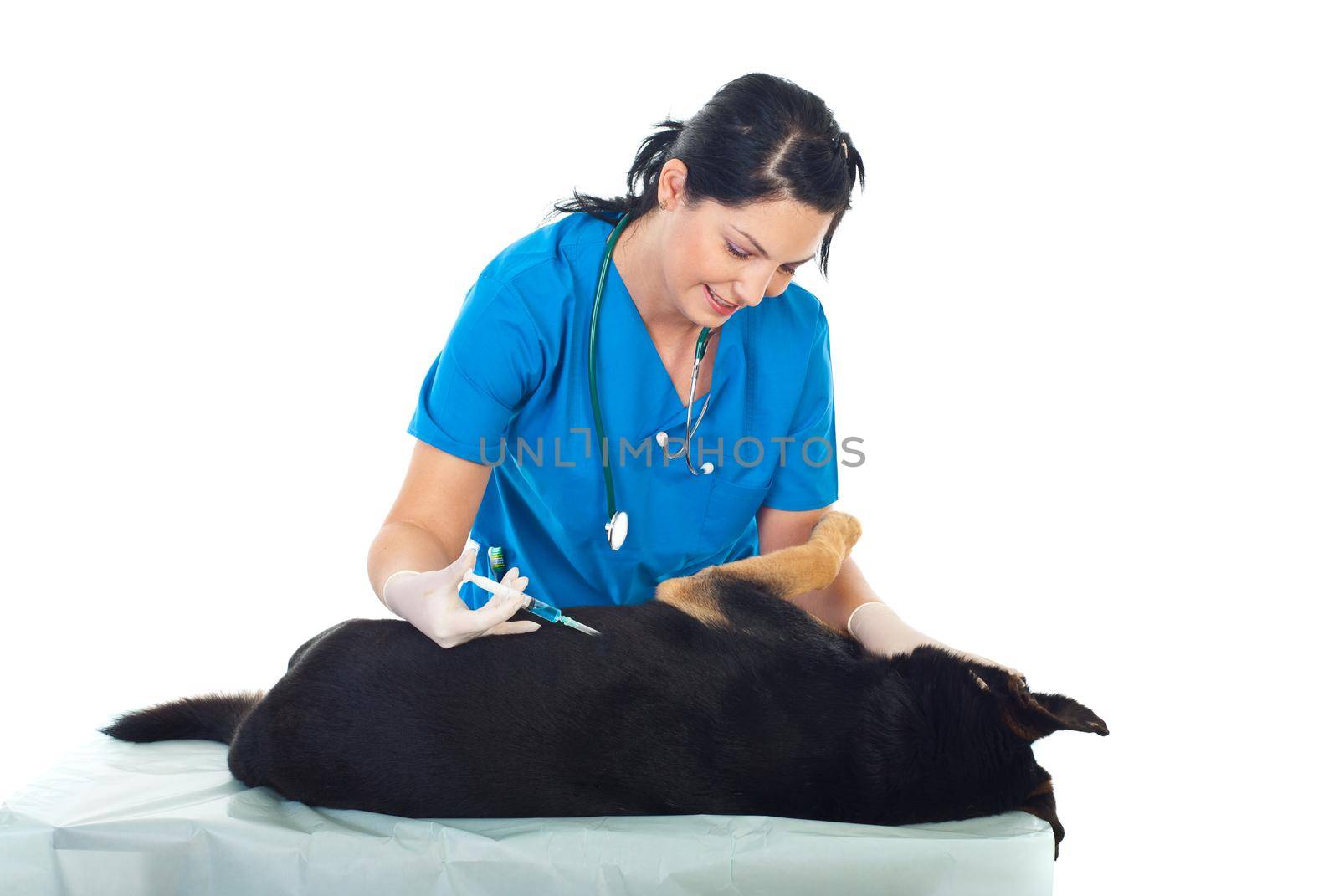 Vet inject a dog by justmeyo