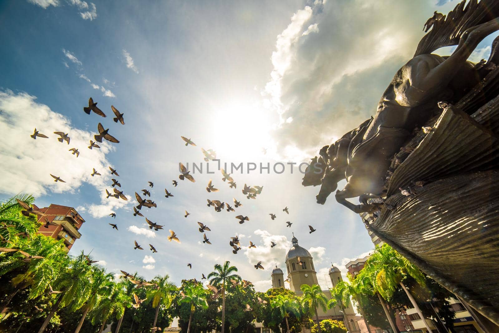 Bolivar park in Pereira Risaralda with birds flying and sun in the clear sky by FranciscoStockLife