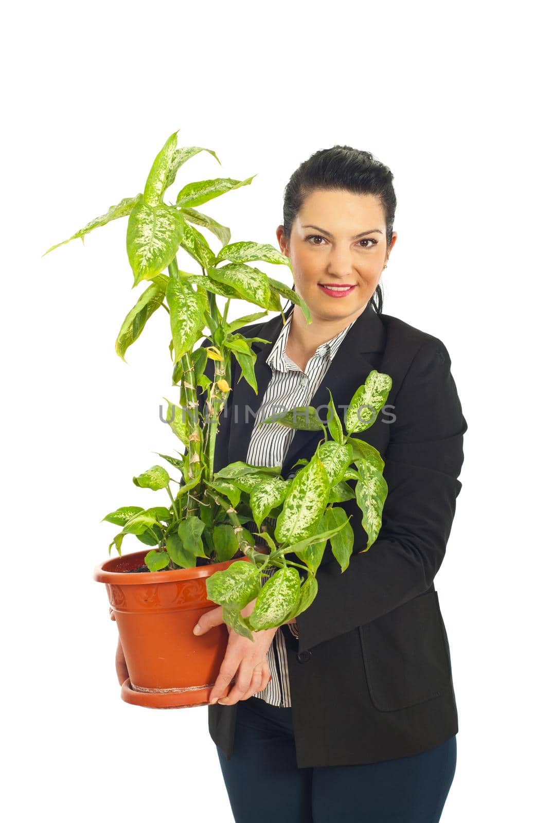 Business woman holding vase with plant by justmeyo