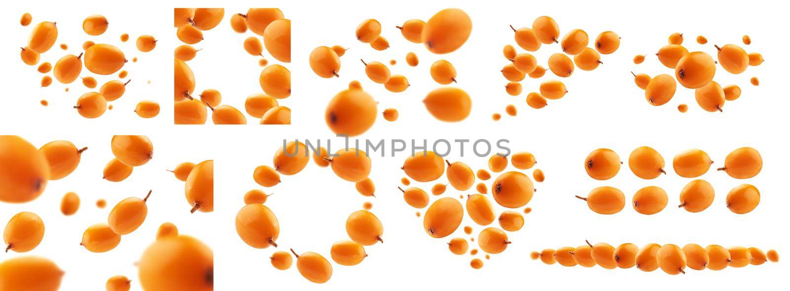 A set of photos. Sea buckthorn berries levitate on a white background.