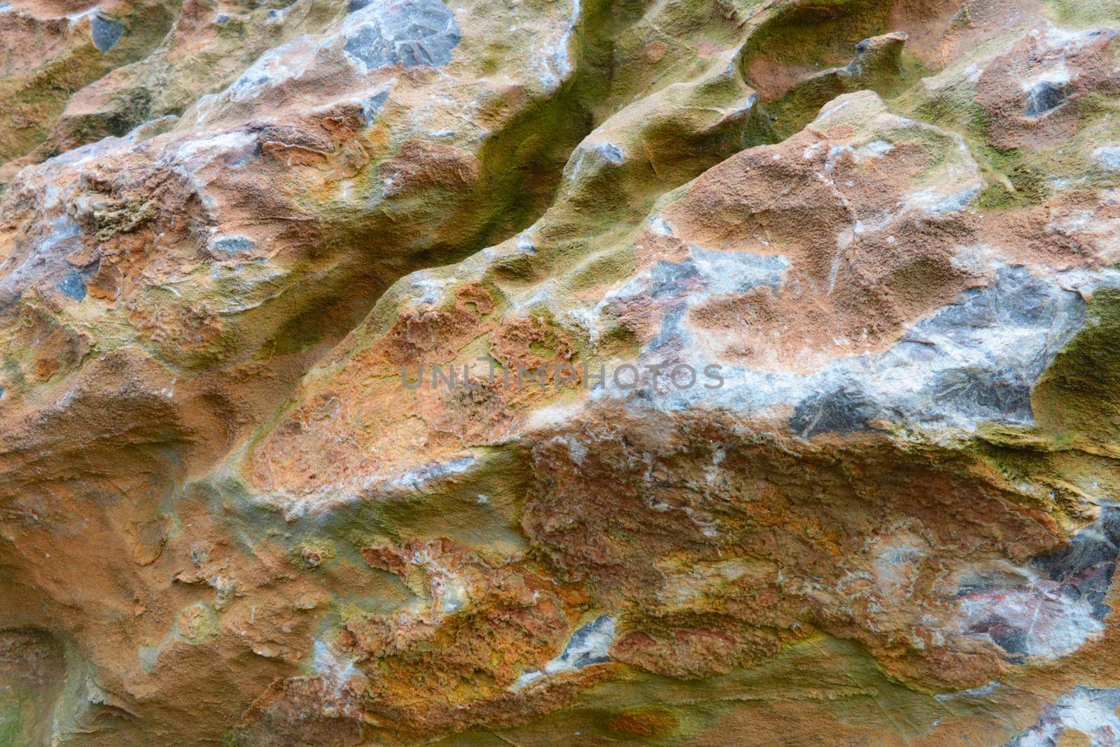 The texture of the rock, the background, the type of rock