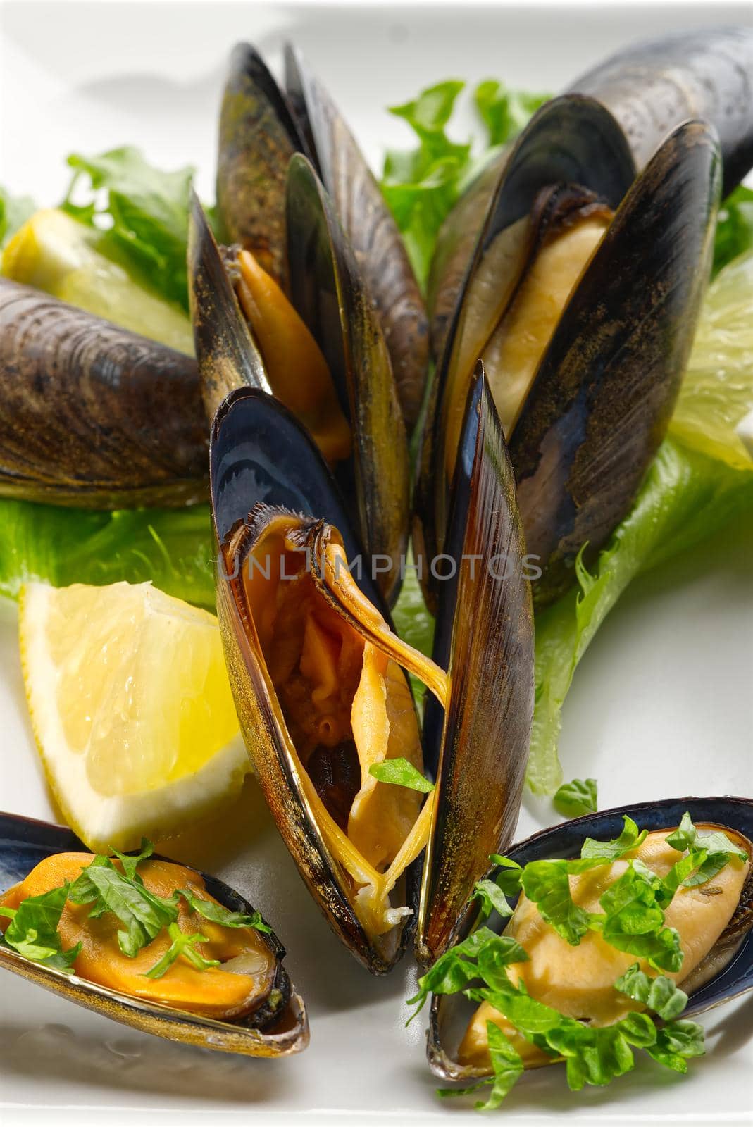 Mussels in sauce. Shellfish dish. Seafood dishes. Fresh Mussels.