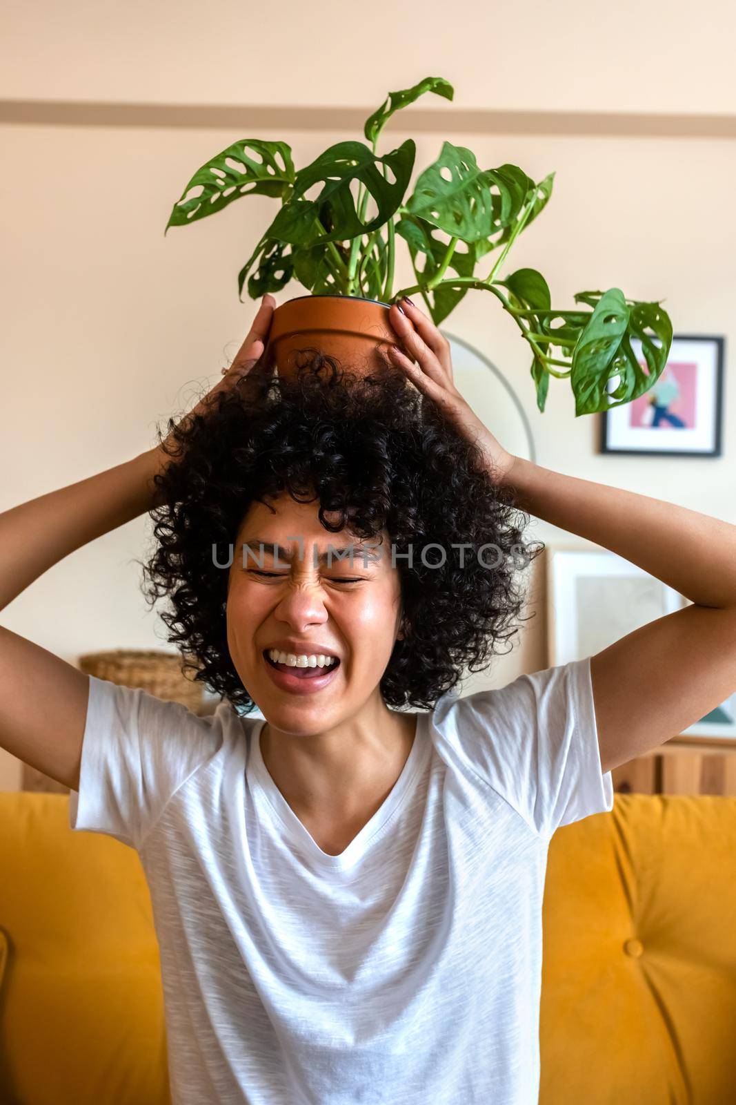 Young playful African American woman having fun, being carefree putting potted plant on her head. Vertical image. Lifestyle concept.