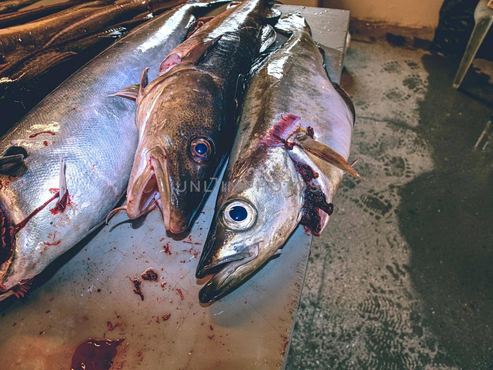 Fishmonger table with fresh fishes.   Scales and blood by rdonar2