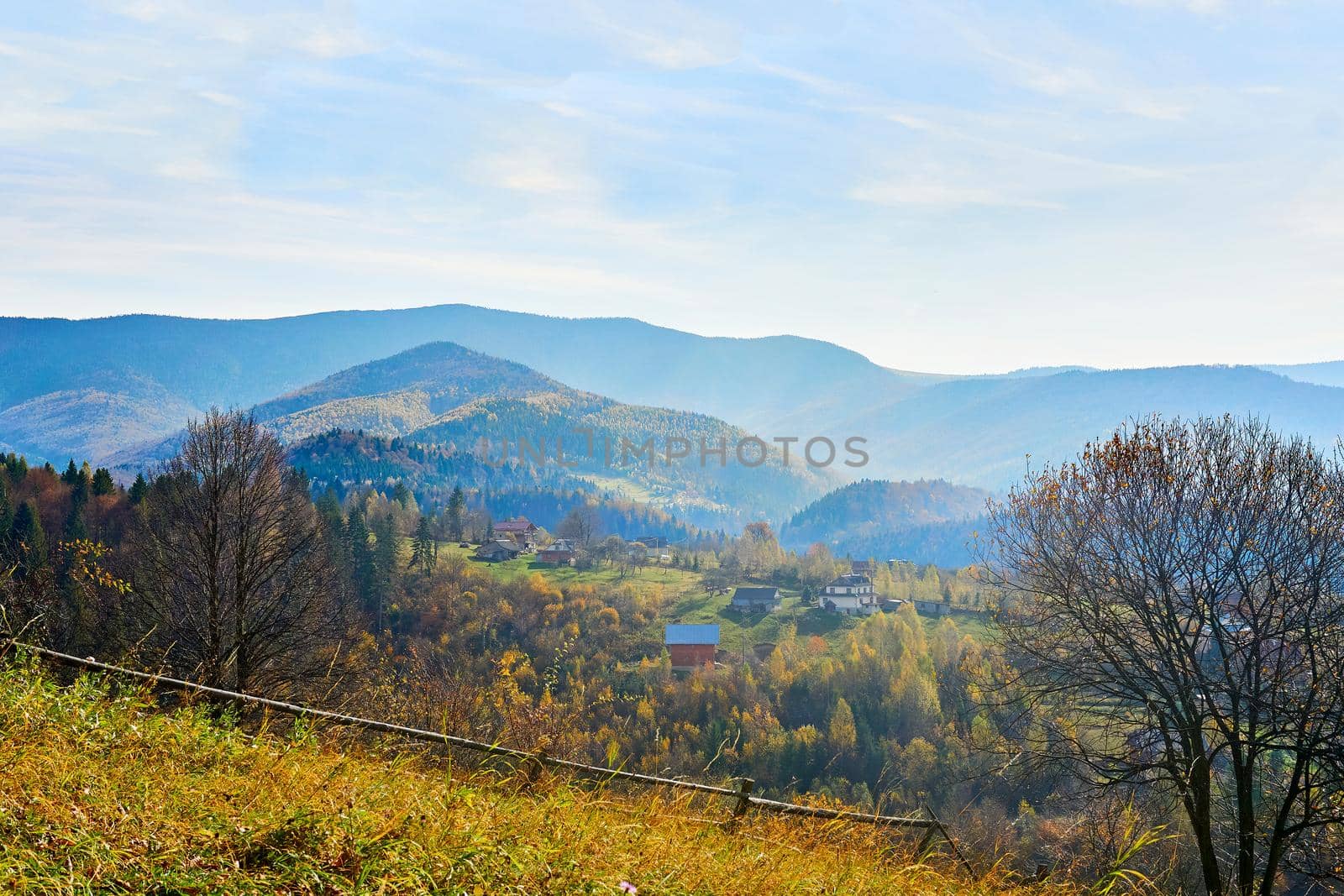 Golden bright autumn in the mountains in the national park Karpaty in Ukraine by jovani68