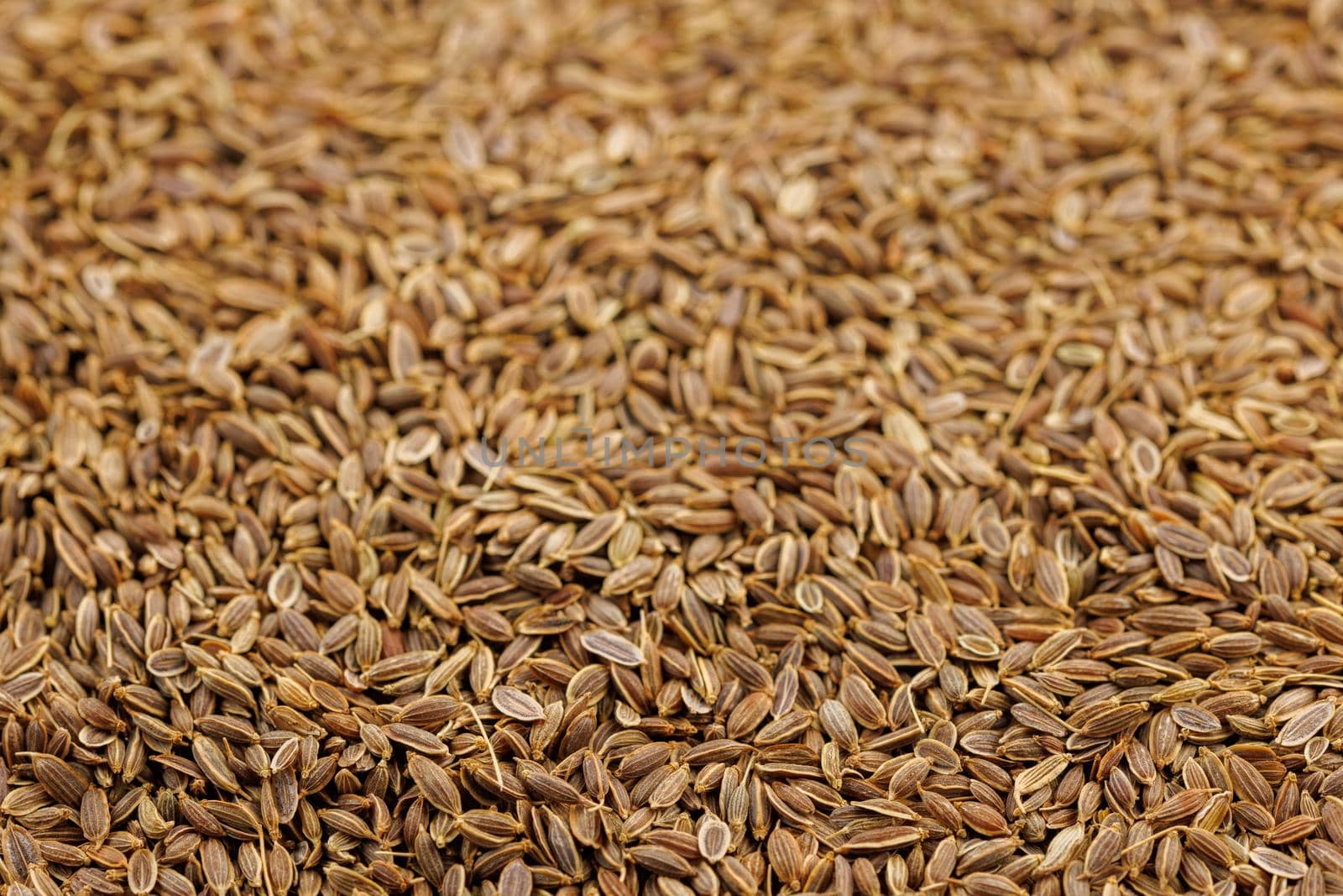 dry dill seeds on flat surface, close-up background with selective focus by z1b