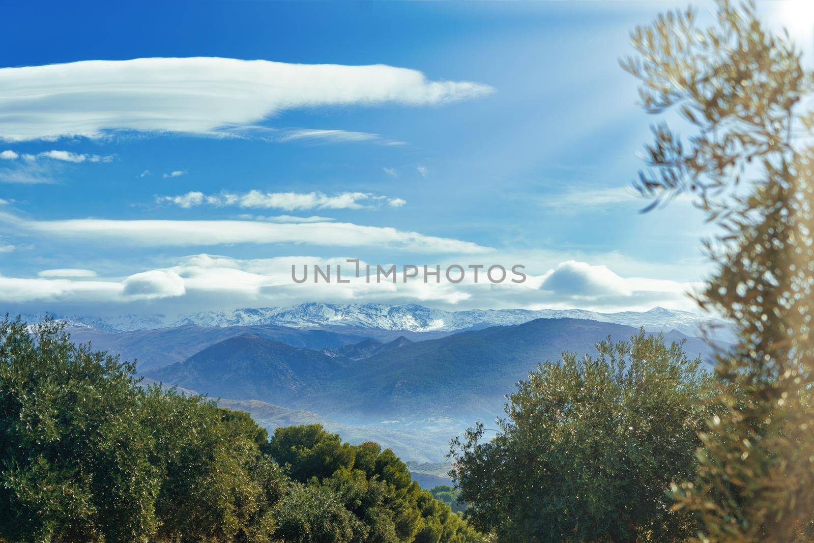 Sierra Nevada as seen from the olive groves in the Llano de la Perdiz in Granada, Andalusia, Spain.
