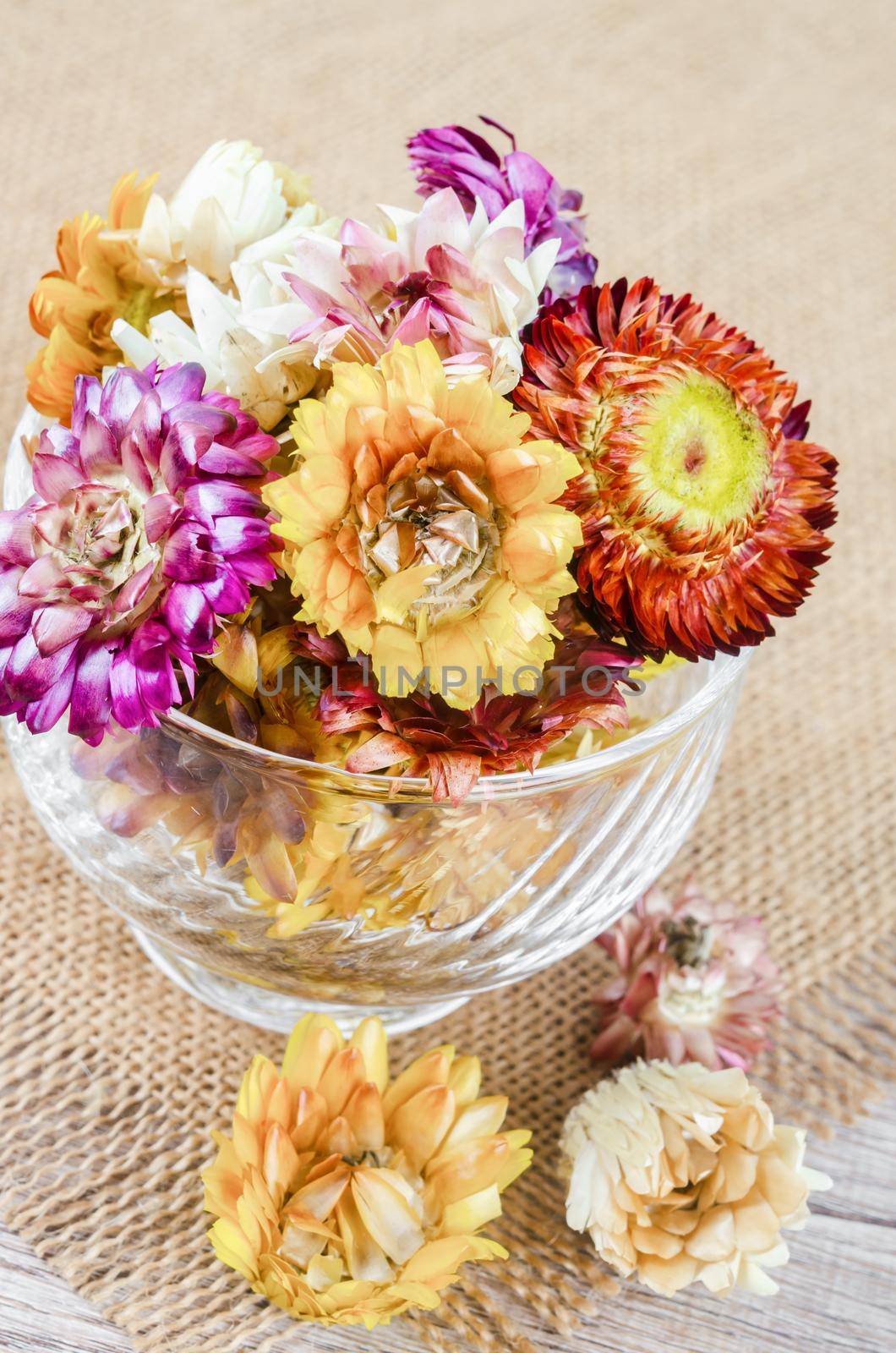 Dried straw flower heads in cup on wooden background. by Gamjai