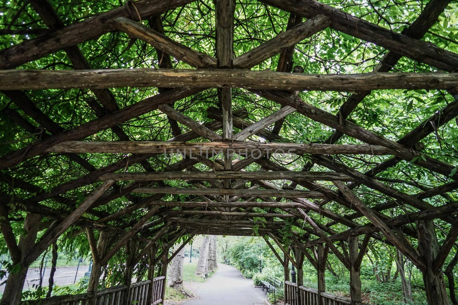 Central Park Landscape. Shooting Location: New York, Manhattan
