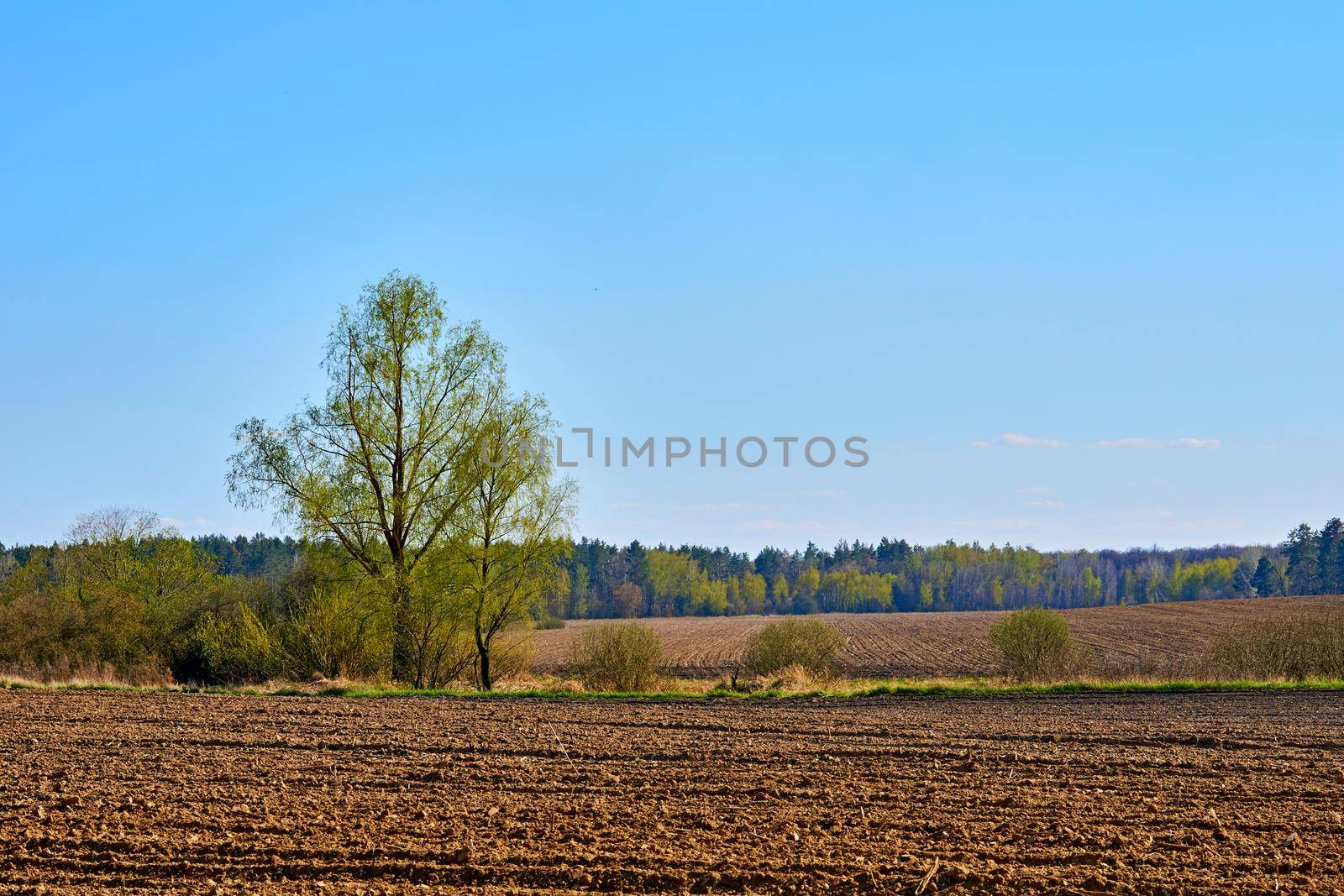 Spring arable land, plowed field prepared for planting cereals and vegetables by jovani68