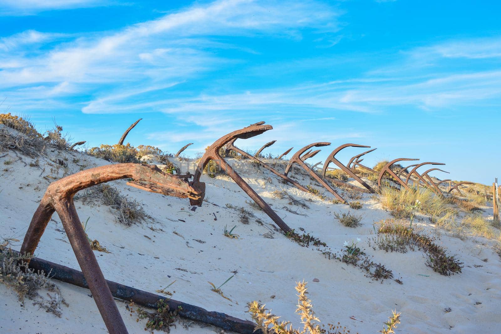 The old Anchor cemetery at the Barril beach Portugal