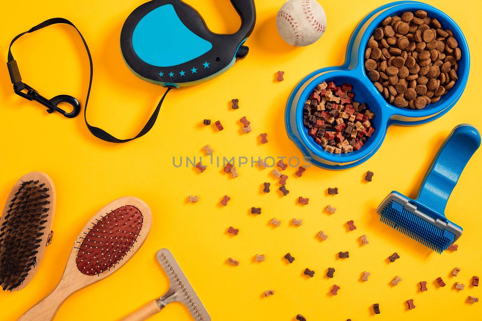 Dog accessories on yellow background. Top view. Pets and animals concept. Still life. Copy space. Flat lay