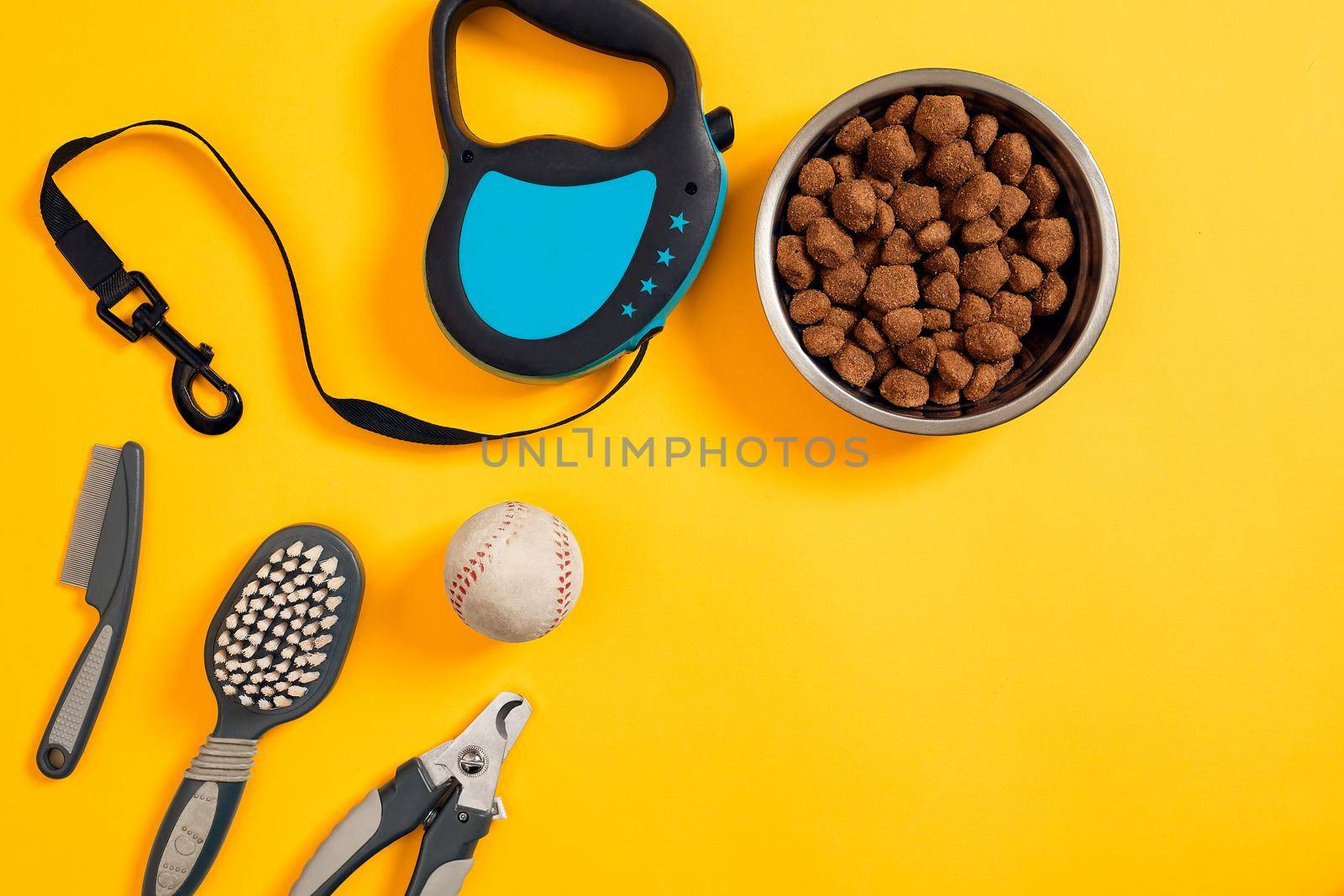Dog accessories on yellow background. Top view. Pets and animals concept by nazarovsergey