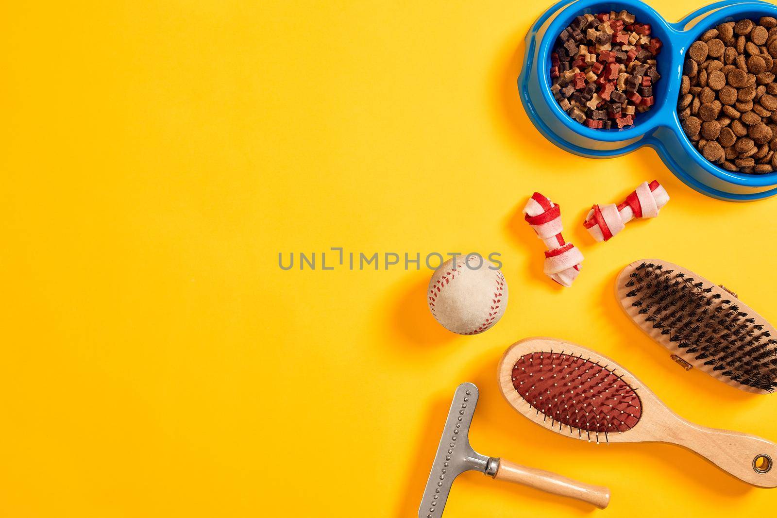 Accessories for the grooming of the dog on yellow background. Combs and brushes for dogs. Top view. Still life. Copy space. Flat lay