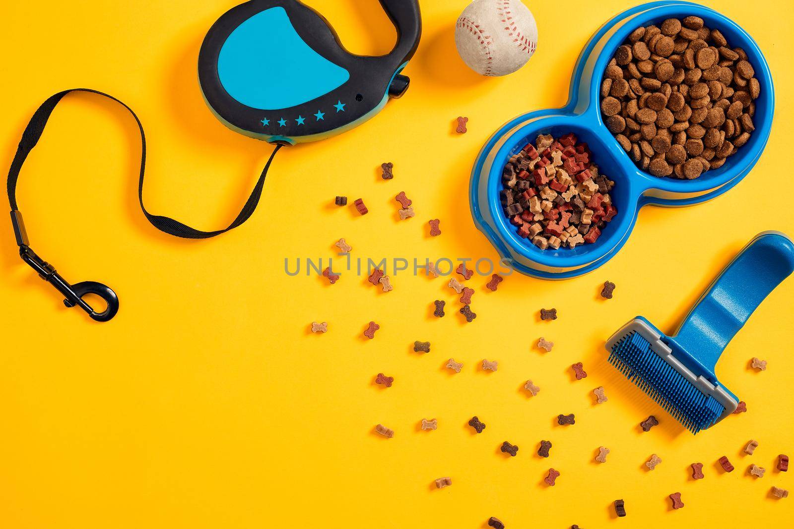Dog accessories on yellow background. Top view. Pets and animals concept. Still life. Copy space. Flat lay