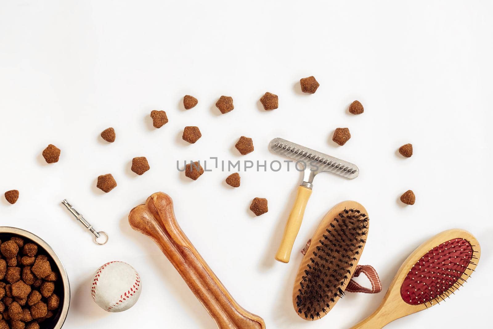 Bowl with food, combs and brushes for dogs. Isolated on white background. Top view. Copy space. Still life. Flat lay.