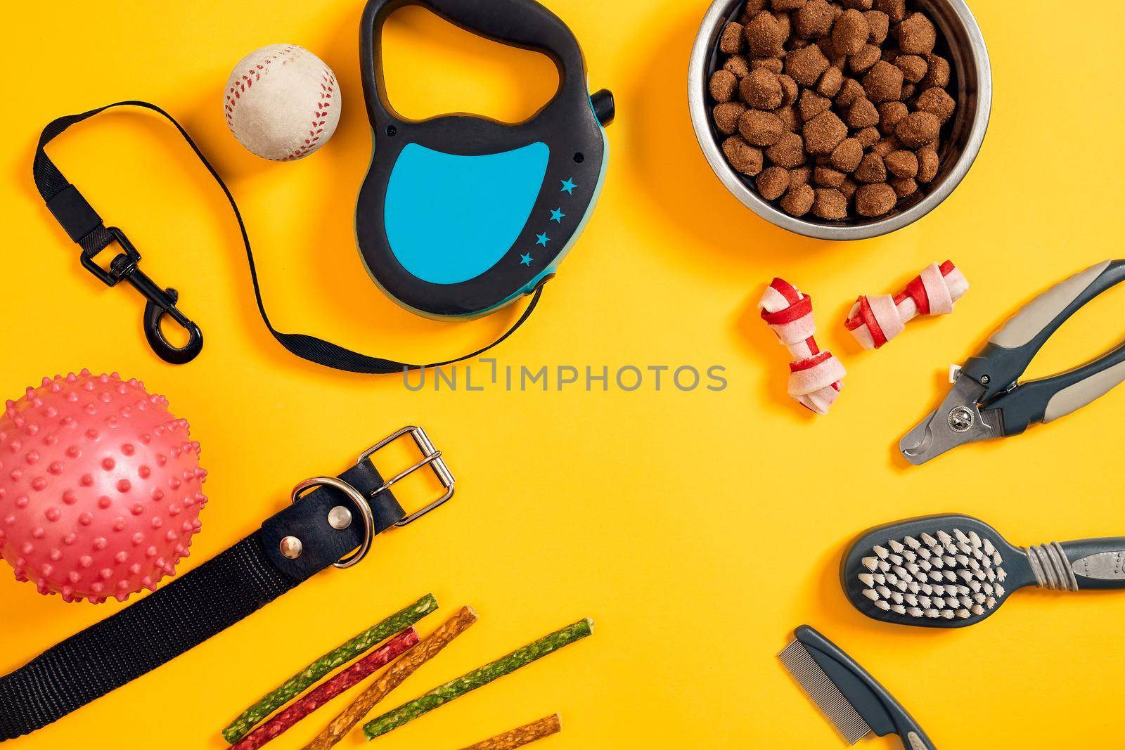 Dog accessories on yellow background. Top view. Pets and animals concept. Still life. Copy space. Flat lay