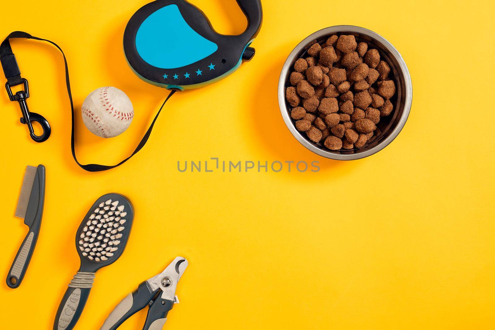 Dog accessories on yellow background. Top view. Pets and animals concept. Still life. Copy space. Flat lay