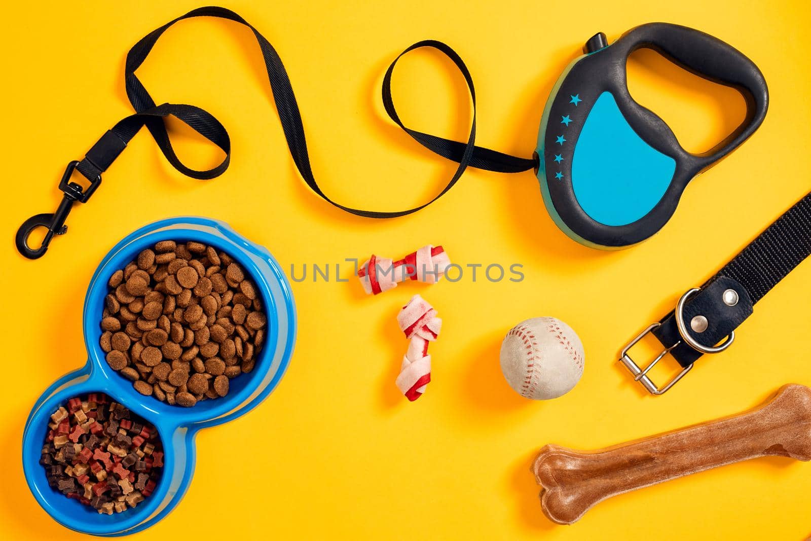 Dog accessories on yellow background. Top view. Pets and animals concept. Still life. Copy space. Flat lay