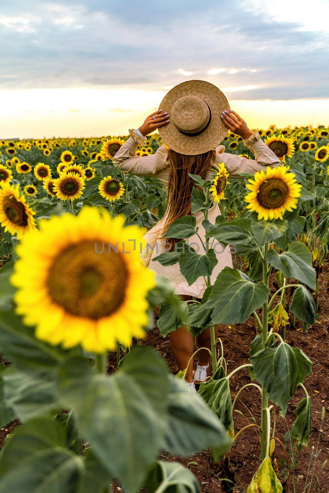 Beautiful middle aged woman looks good in a hat enjoying nature in a field of sunflowers at sunset. Summer. Attractive brunette with long healthy hair