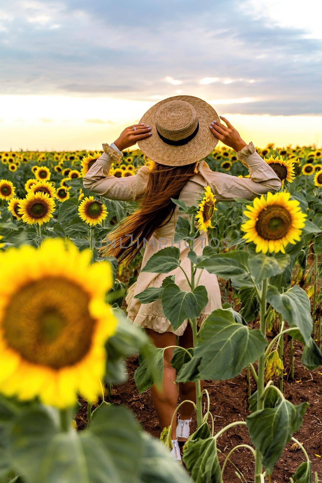 Beautiful middle aged woman looks good in a hat enjoying nature in a field of sunflowers at sunset. Summer. Attractive brunette with long healthy hair