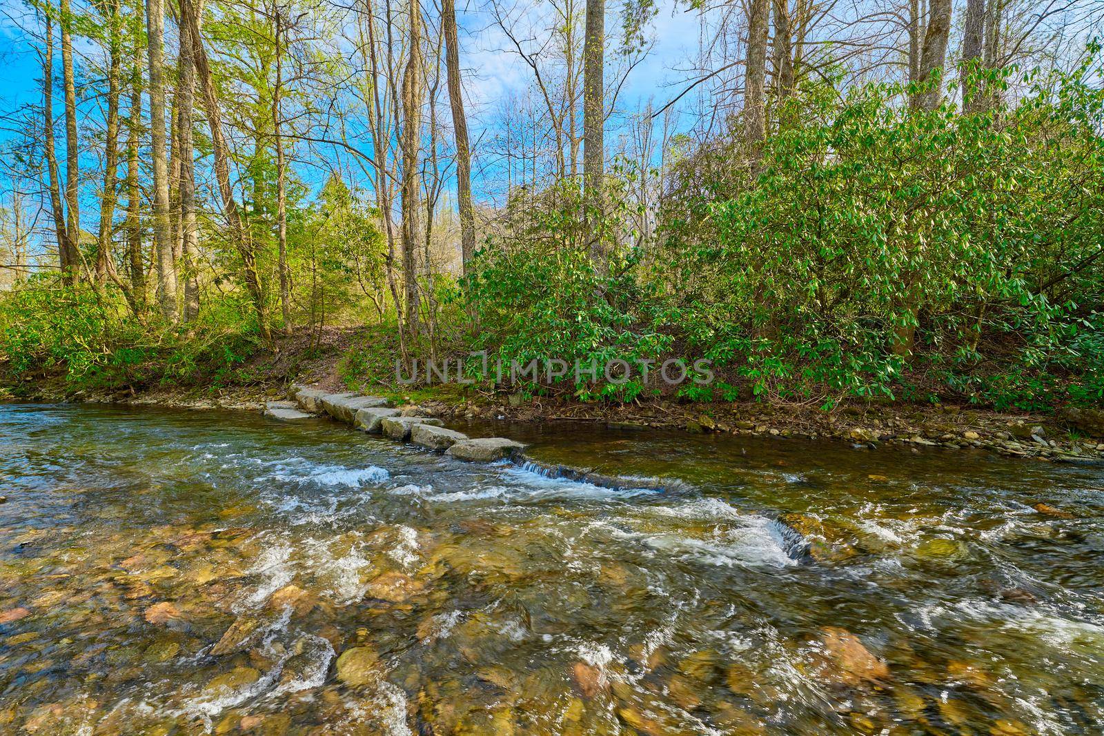 Mills River in Pisgah National Forest North Carolina.