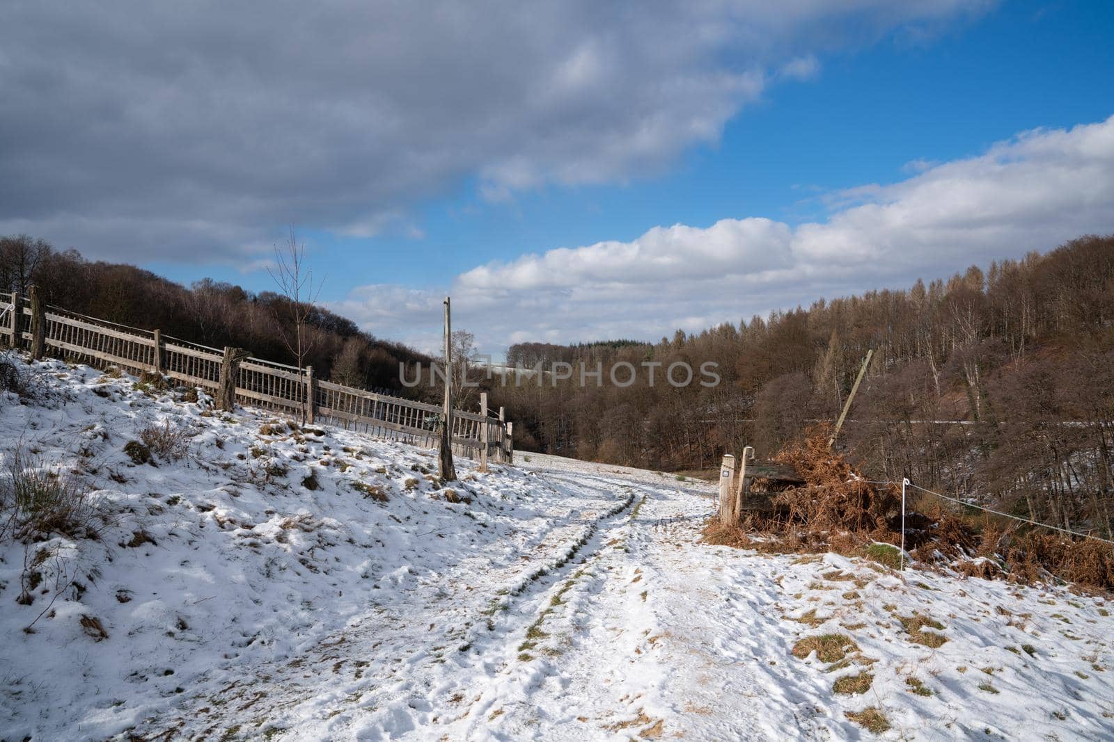 Hiking trail close to Odenthal, Bergisches Land, Germany by alfotokunst