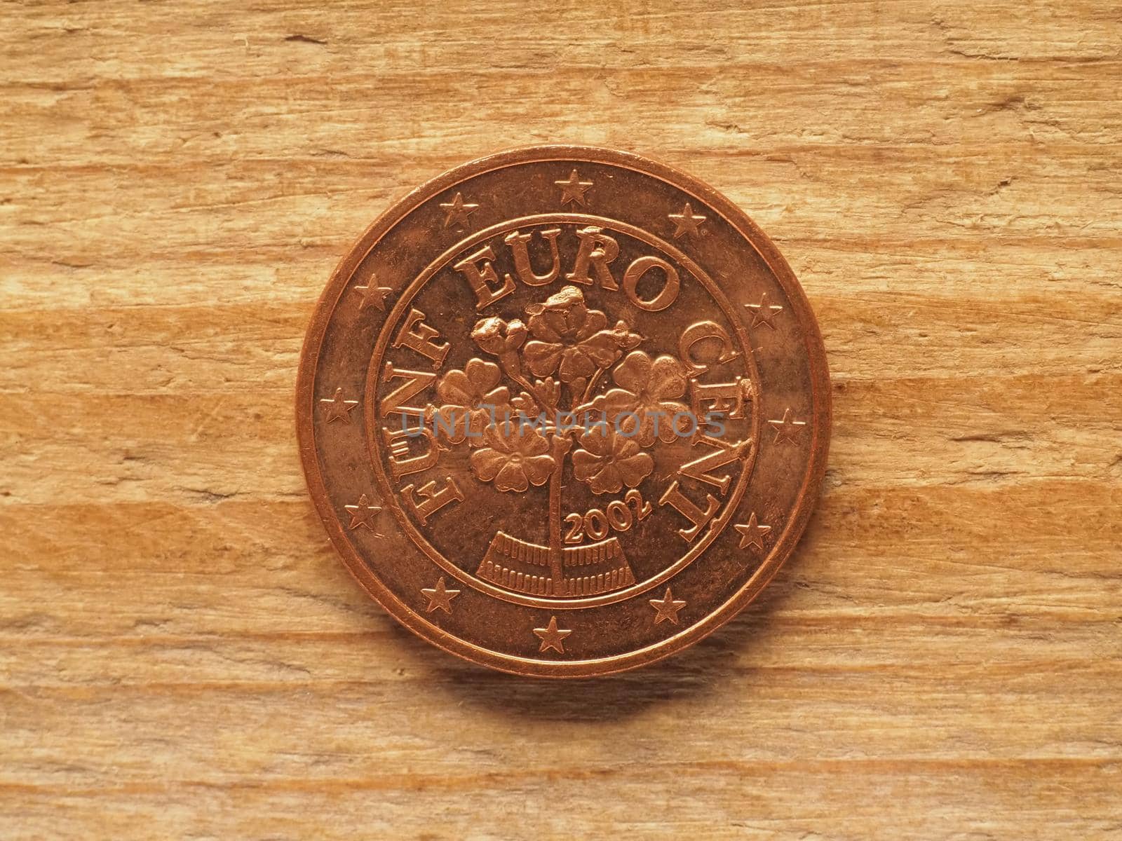 five cent coin, Austria side showing primrose alpine flower, currency of Austria, European Union